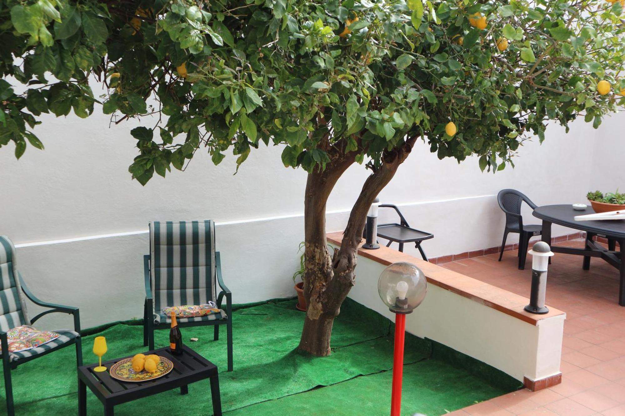 Mondello House Lemon Apartment Palermo Ngoại thất bức ảnh